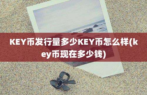 KEY币发行量多少KEY币怎么样(key币现在多少钱)