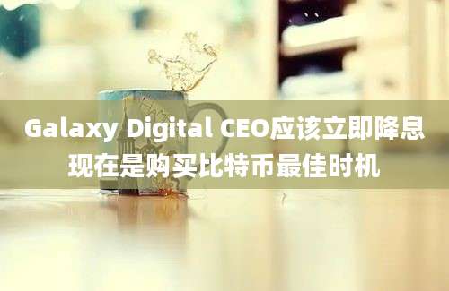 Galaxy Digital CEO应该立即降息现在是购买比特币最佳时机