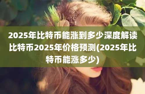 2025年比特币能涨到多少深度解读比特币2025年价格预测(2025年比特币能涨多少)