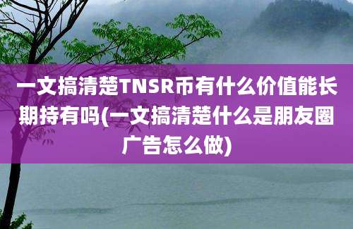 一文搞清楚TNSR币有什么价值能长期持有吗(一文搞清楚什么是朋友圈广告怎么做)