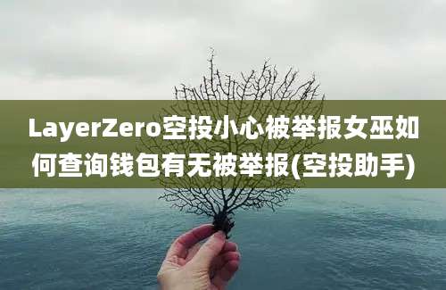 LayerZero空投小心被举报女巫如何查询钱包有无被举报(空投助手)