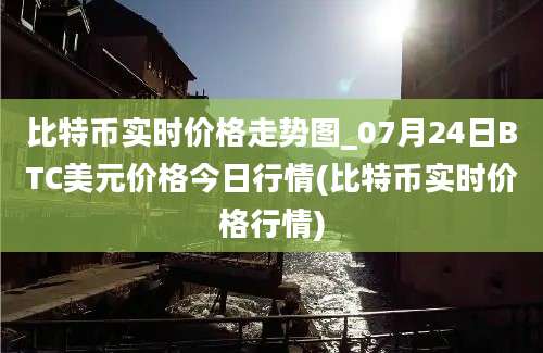 比特币实时价格走势图_07月24日BTC美元价格今日行情(比特币实时价格行情)