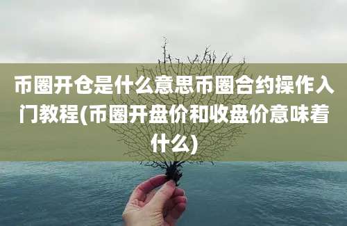 币圈开仓是什么意思币圈合约操作入门教程(币圈开盘价和收盘价意味着什么)