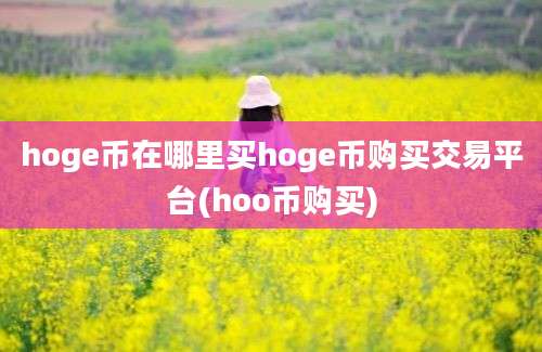 hoge币在哪里买hoge币购买交易平台(hoo币购买)