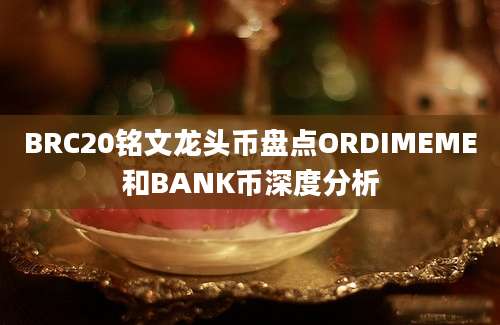 BRC20铭文龙头币盘点ORDIMEME和BANK币深度分析