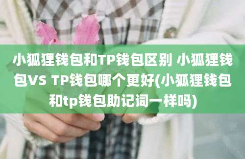 小狐狸钱包和TP钱包区别 小狐狸钱包VS TP钱包哪个更好(小狐狸钱包和tp钱包助记词一样吗)