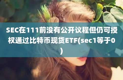 SEC在111前没有公开议程但仍可授权通过比特币现货ETF(sec1等于0)