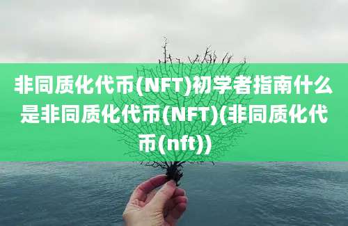 非同质化代币(NFT)初学者指南什么是非同质化代币(NFT)(非同质化代币(nft))