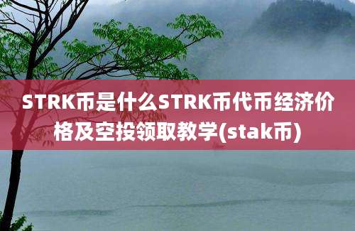 STRK币是什么STRK币代币经济价格及空投领取教学(stak币)