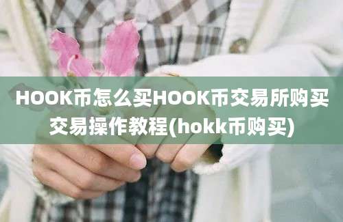 HOOK币怎么买HOOK币交易所购买交易操作教程(hokk币购买)