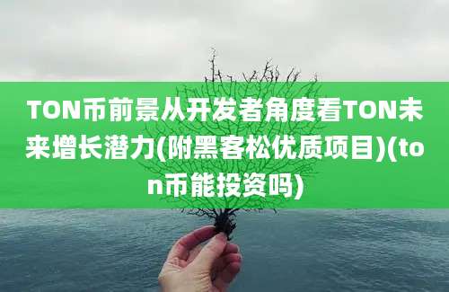 TON币前景从开发者角度看TON未来增长潜力(附黑客松优质项目)(ton币能投资吗)