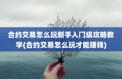 合约交易怎么玩新手入门级攻略教学(合约交易怎么玩才能赚钱)