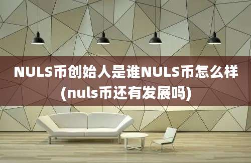 NULS币创始人是谁NULS币怎么样(nuls币还有发展吗)