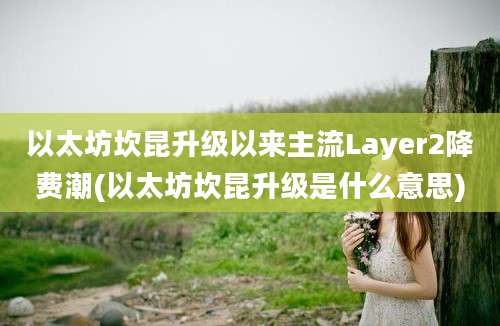 以太坊坎昆升级以来主流Layer2降费潮(以太坊坎昆升级是什么意思)