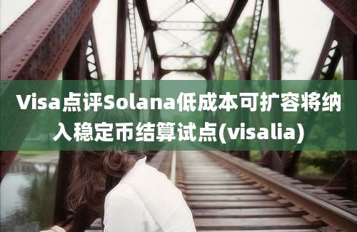 Visa点评Solana低成本可扩容将纳入稳定币结算试点(visalia)