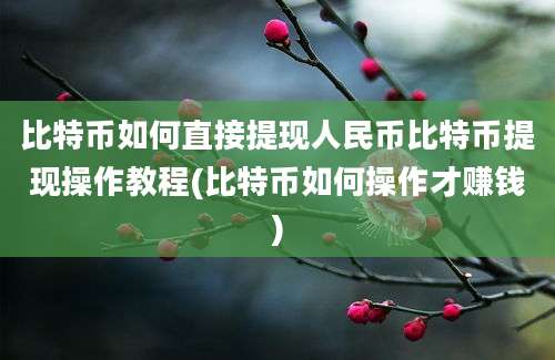 比特币如何直接提现人民币比特币提现操作教程(比特币如何操作才赚钱)