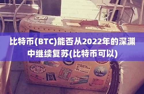 比特币(BTC)能否从2022年的深渊中继续复苏(比特币可以)