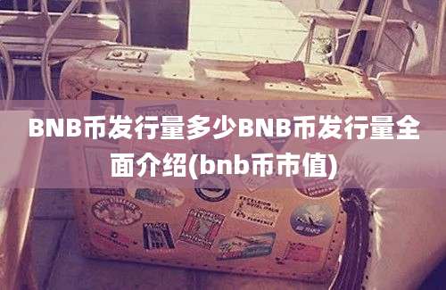 BNB币发行量多少BNB币发行量全面介绍(bnb币市值)