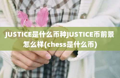 JUSTICE是什么币种JUSTICE币前景怎么样(chess是什么币)