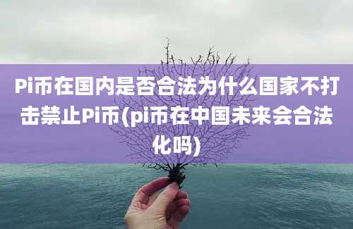 Pi币在国内是否合法为什么国家不打击禁止Pi币(pi币在中国未来会合法化吗)