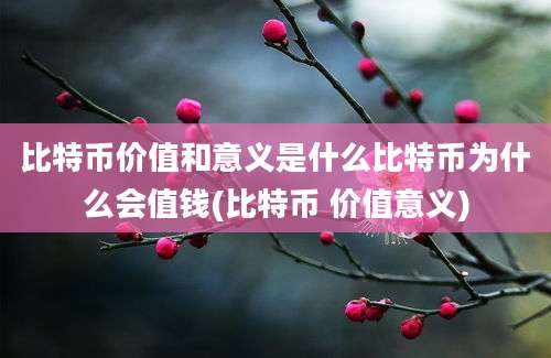 比特币价值和意义是什么比特币为什么会值钱(比特币 价值意义)