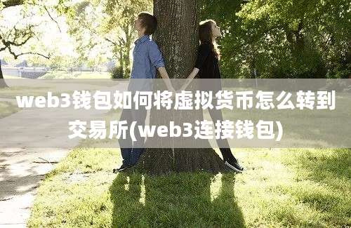 web3钱包如何将虚拟货币怎么转到交易所(web3连接钱包)