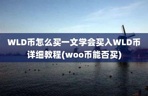 WLD币怎么买一文学会买入WLD币详细教程(woo币能否买)