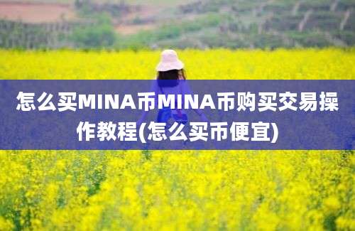 怎么买MINA币MINA币购买交易操作教程(怎么买币便宜)