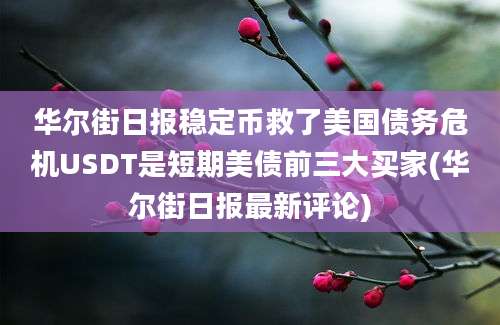 华尔街日报稳定币救了美国债务危机USDT是短期美债前三大买家(华尔街日报最新评论)