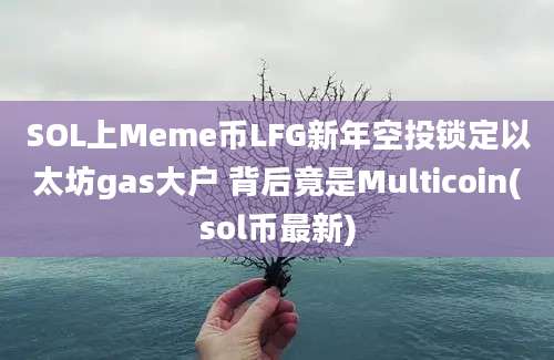 SOL上Meme币LFG新年空投锁定以太坊gas大户 背后竟是Multicoin(sol币最新)