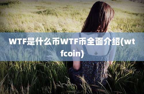 WTF是什么币WTF币全面介绍(wtfcoin)