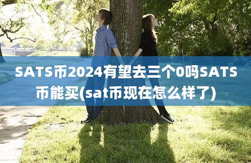 SATS币2024有望去三个0吗SATS币能买(sat币现在怎么样了)