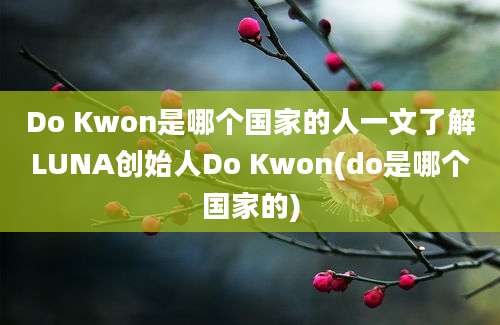 Do Kwon是哪个国家的人一文了解LUNA创始人Do Kwon(do是哪个国家的)