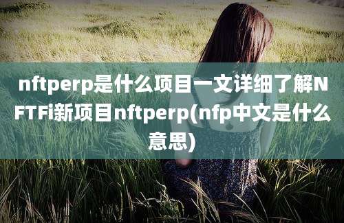 nftperp是什么项目一文详细了解NFTFi新项目nftperp(nfp中文是什么意思)