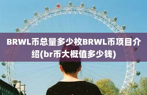 BRWL币总量多少枚BRWL币项目介绍(br币大概值多少钱)