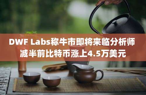 DWF Labs称牛市即将来临分析师 减半前比特币涨上4.5万美元