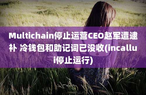 Multichain停止运营CEO赵军遭逮补 冷钱包和助记词已没收(incallui停止运行)