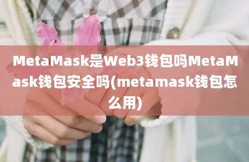 MetaMask是Web3钱包吗MetaMask钱包安全吗(metamask钱包怎么用)