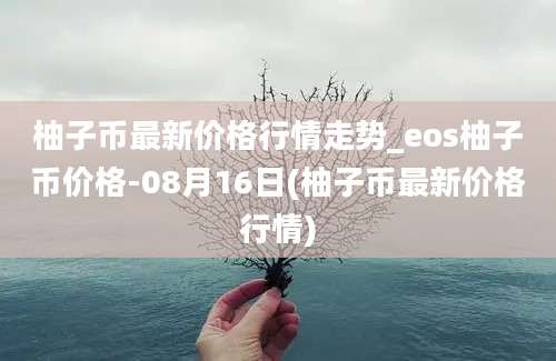 柚子币最新价格行情走势_eos柚子币价格-08月16日(柚子币最新价格行情)