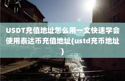 USDT充值地址怎么用一文快速学会使用泰达币充值地址(ustd充币地址)