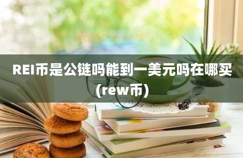 REI币是公链吗能到一美元吗在哪买(rew币)