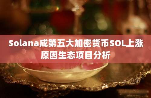 Solana成第五大加密货币SOL上涨原因生态项目分析