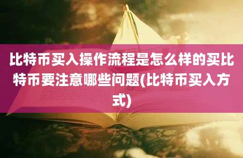 比特币买入操作流程是怎么样的买比特币要注意哪些问题(比特币买入方式)