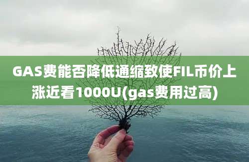 GAS费能否降低通缩致使FIL币价上涨近看1000U(gas费用过高)