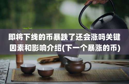 即将下线的币暴跌了还会涨吗关键因素和影响介绍(下一个暴涨的币)