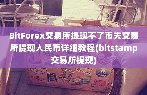 BitForex交易所提现不了币夫交易所提现人民币详细教程(bitstamp交易所提现)