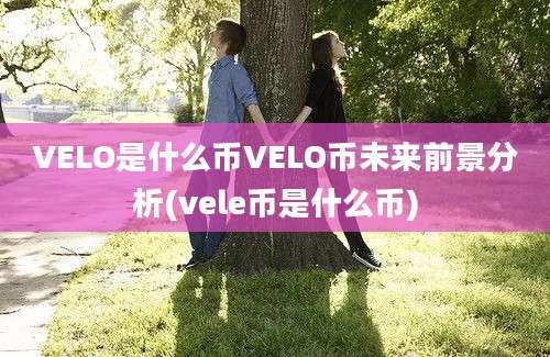 VELO是什么币VELO币未来前景分析(vele币是什么币)