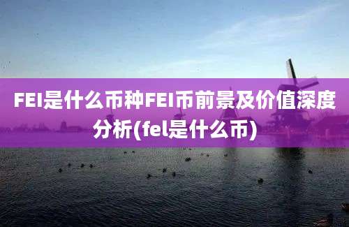 FEI是什么币种FEI币前景及价值深度分析(fel是什么币)