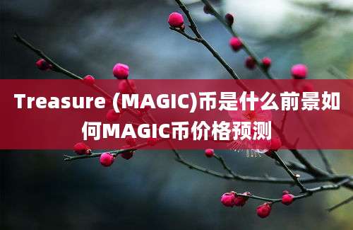 Treasure (MAGIC)币是什么前景如何MAGIC币价格预测