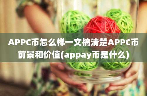 APPC币怎么样一文搞清楚APPC币前景和价值(appay币是什么)